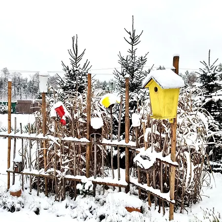 Jałowcowe Zacisze Dom wakacyjny Brody (Radom)