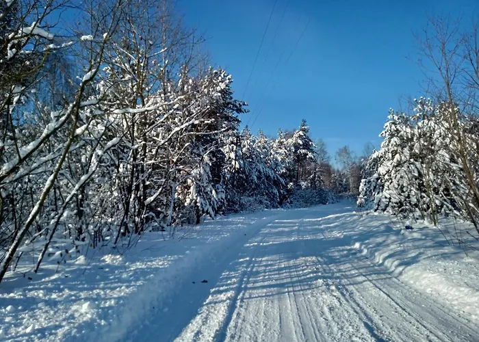 Jałowcowe Zacisze * Brody (Radom)