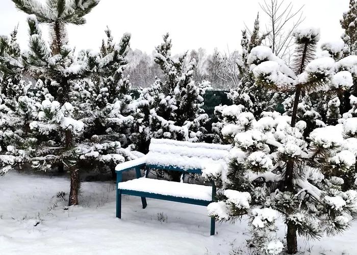 Jalowcowe Zacisze * Brody (Radom)