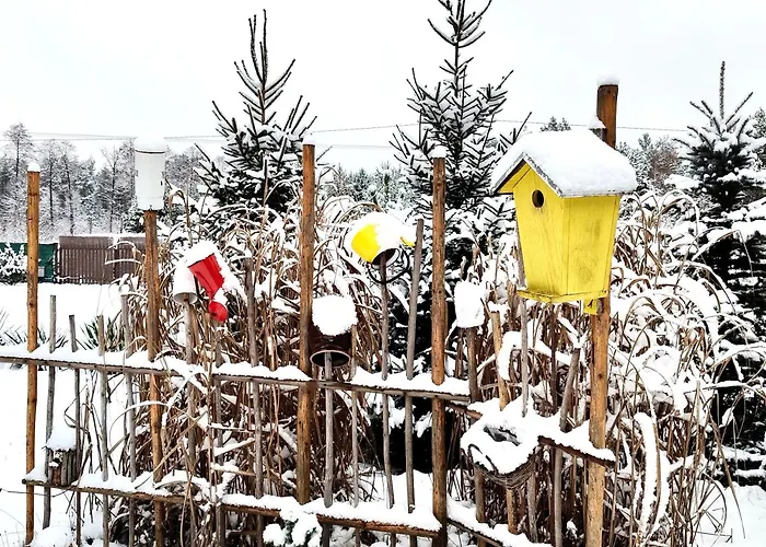 Jałowcowe Zacisze Dom wakacyjny Brody (Radom)