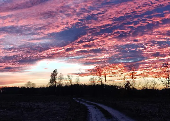 Jalowcowe Zacisze Brody (Radom)